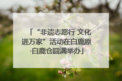“非遗志愿行 文化进万家”活动在白鹿原·白鹿仓圆满举办