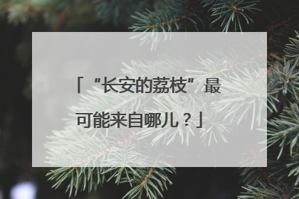 “长安的荔枝”最可能来自哪儿？