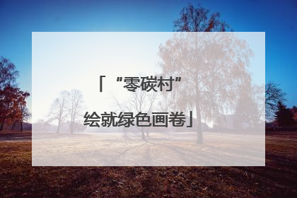 “零碳村” 绘就绿色画卷