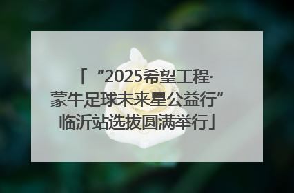“2025希望工程·蒙牛足球未来星公益行”临沂站选拔圆满举行