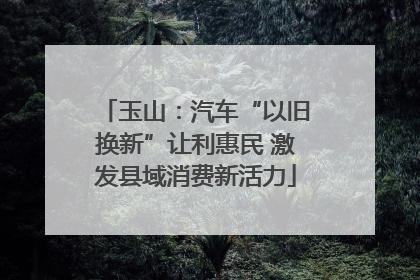 玉山：汽车“以旧换新”让利惠民 激发县域消费新活力
