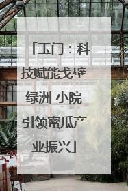 玉门：科技赋能戈壁绿洲 小院引领蜜瓜产业振兴