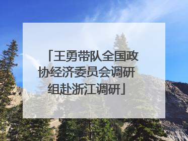 王勇带队全国政协经济委员会调研组赴浙江调研