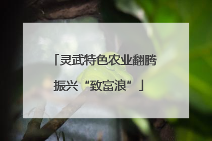 灵武特色农业翻腾振兴“致富浪”