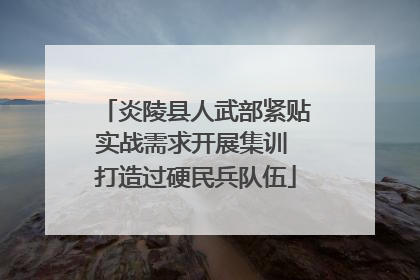 炎陵县人武部紧贴实战需求开展集训 打造过硬民兵队伍