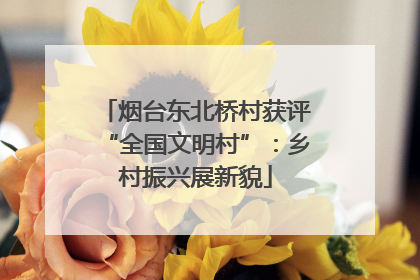 烟台东北桥村获评“全国文明村”：乡村振兴展新貌