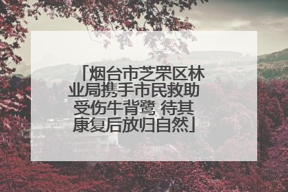 烟台市芝罘区林业局携手市民救助受伤牛背鹭 待其康复后放归自然