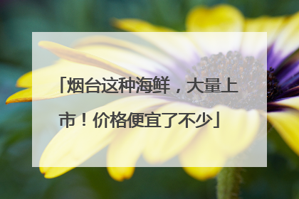 烟台这种海鲜，大量上市！价格便宜了不少