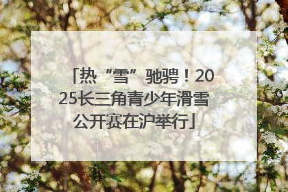 热“雪”驰骋！2025长三角青少年滑雪公开赛在沪举行