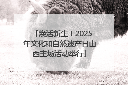 焕活新生！2025年文化和自然遗产日山西主场活动举行