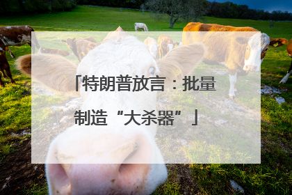 特朗普放言：批量制造“大杀器”