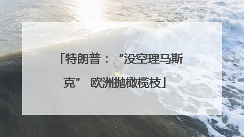 特朗普：“没空理马斯克” 欧洲抛橄榄枝