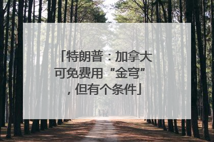 特朗普：加拿大可免费用“金穹”，但有个条件