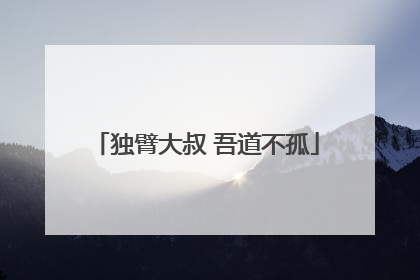 独臂大叔 吾道不孤