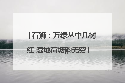 石狮：万绿丛中几树红 湿地荷塘韵无穷