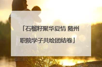 石榴籽聚华夏情 随州职院学子共绘团结卷