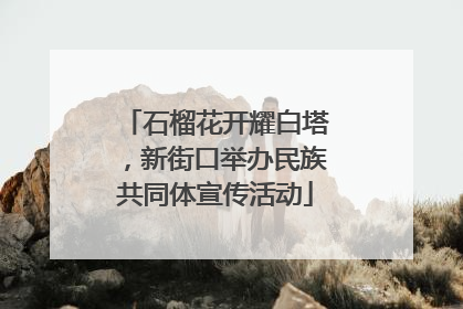石榴花开耀白塔，新街口举办民族共同体宣传活动