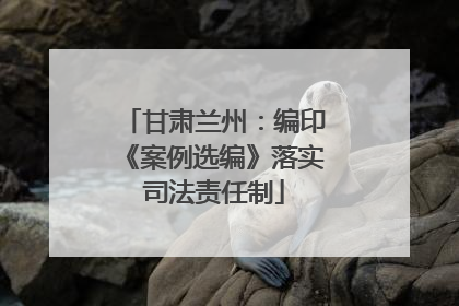 甘肃兰州：编印《案例选编》落实司法责任制