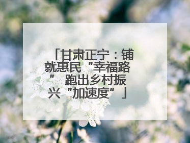 甘肃正宁：铺就惠民“幸福路” 跑出乡村振兴“加速度”