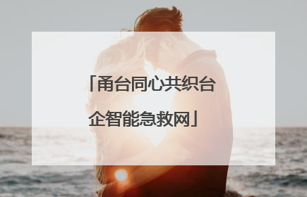 甬台同心共织台企智能急救网