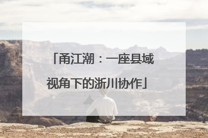 甬江潮：一座县域视角下的浙川协作