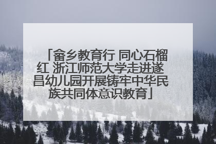 畲乡教育行 同心石榴红 浙江师范大学走进遂昌幼儿园开展铸牢中华民族共同体意识教育