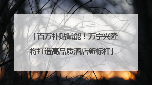 百万补贴赋能！万宁兴隆将打造高品质酒店新标杆