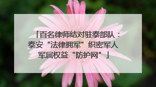 百名律师结对驻泰部队：泰安“法律拥军”织密军人军属权益“防护网”