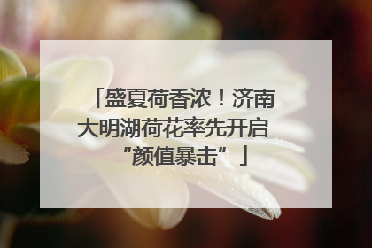 盛夏荷香浓！济南大明湖荷花率先开启“颜值暴击”