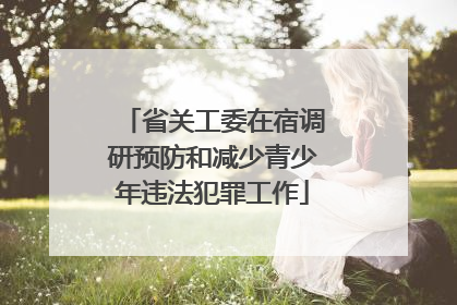 省关工委在宿调研预防和减少青少年违法犯罪工作