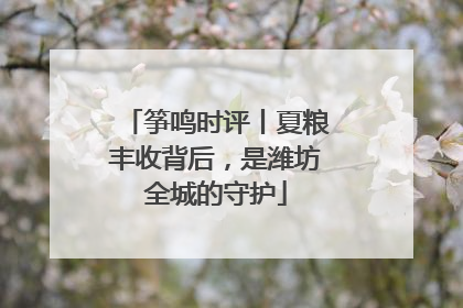 筝鸣时评丨夏粮丰收背后，是潍坊全城的守护