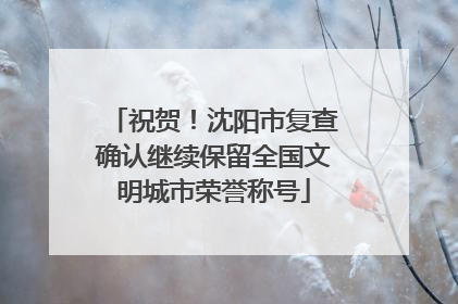 祝贺！沈阳市复查确认继续保留全国文明城市荣誉称号