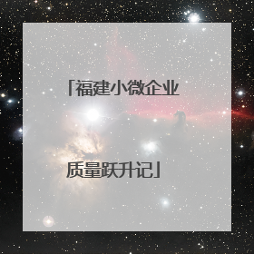 福建小微企业质量跃升记