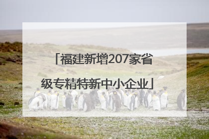 福建新增207家省级专精特新中小企业
