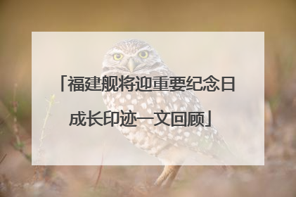福建舰将迎重要纪念日 成长印迹一文回顾