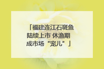 福建连江石斑鱼陆续上市 休渔期成市场“宠儿”