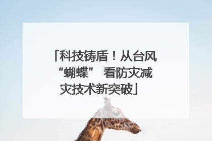 科技铸盾！从台风“蝴蝶” 看防灾减灾技术新突破