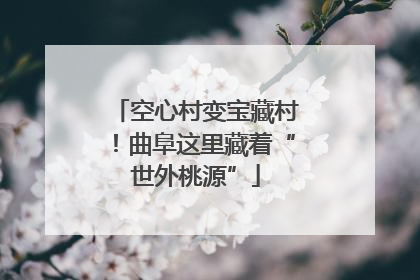 空心村变宝藏村！曲阜这里藏着“世外桃源”