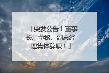 突发公告！董事长、董秘、副总经理集体辞职！