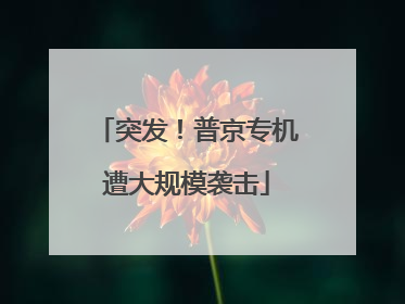 突发！普京专机遭大规模袭击