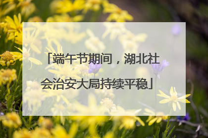 端午节期间，湖北社会治安大局持续平稳