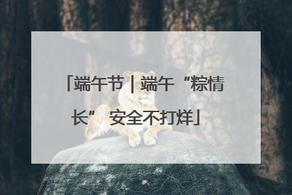 端午节｜端午“粽情长” 安全不打烊