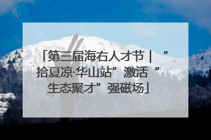 第三届海右人才节｜“拾夏凉·华山站”激活“生态聚才”强磁场