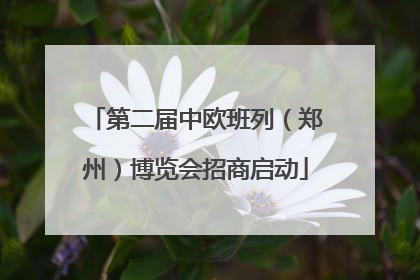 第二届中欧班列（郑州）博览会招商启动