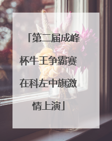 第二届成峰杯牛王争霸赛在科左中旗激情上演