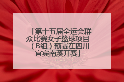 第十五届全运会群众比赛女子篮球项目（B组）预赛在四川宜宾南溪开赛