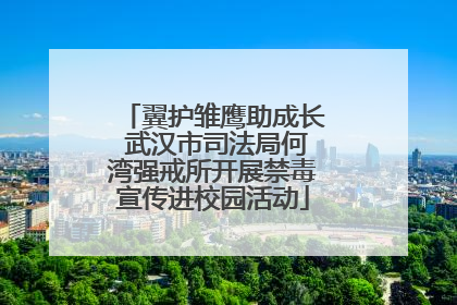 翼护雏鹰助成长 武汉市司法局何湾强戒所开展禁毒宣传进校园活动