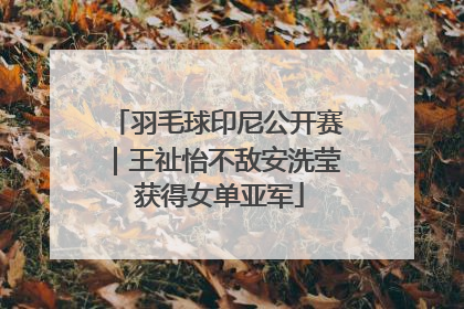 羽毛球印尼公开赛｜王祉怡不敌安洗莹 获得女单亚军