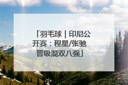 羽毛球｜印尼公开赛：程星/张驰晋级混双八强