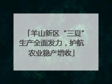羊山新区“三夏”生产全面发力，护航农业稳产增收
